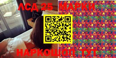 2c-b Кингисепп
