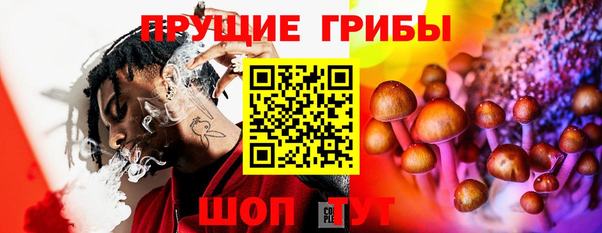 Кингисепп  как найти наркотики  Вход с VPN  Галлюциногенные грибы мухоморы  Галлюциногенные грибы Magic Shrooms 