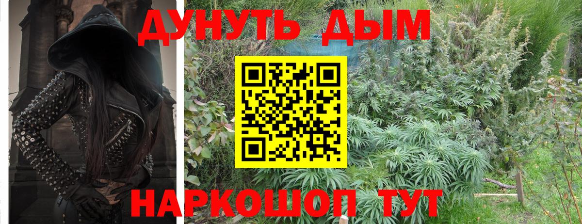 Конопля план  Вход с VPN  Бошки Шишки SATIVA & INDICA  Каннабис индика  МАРИХУАНА марихуана  Кингисепп 